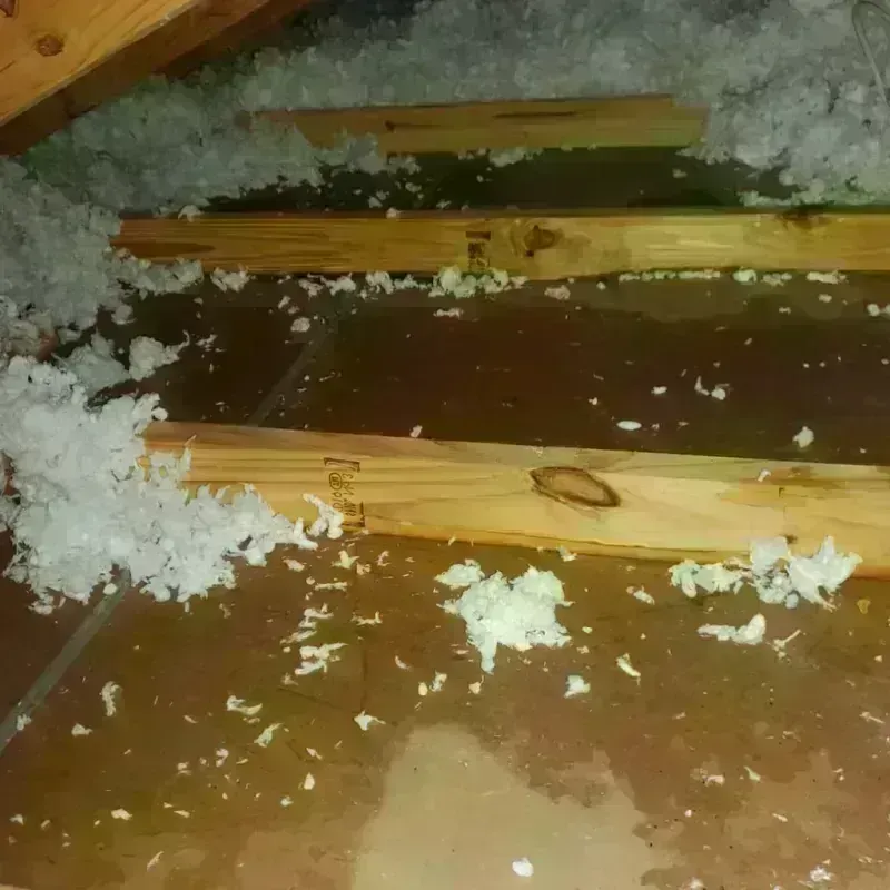 Attic Water Damage in Benton City, WA